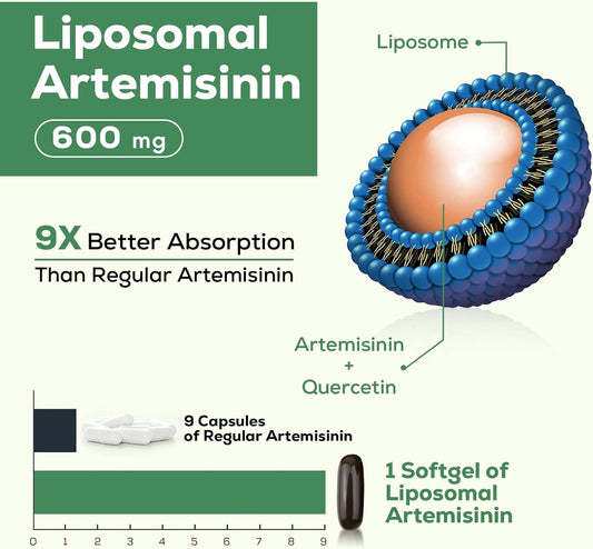 Osasuna 600 Mg Liposomal Artemisinin For Maximum Absorption, Sweet Wormwood Extract(Artemisia Annua) With Quercetin Phytosome 200 Mg, 60 Softgels - 2 Months Supply