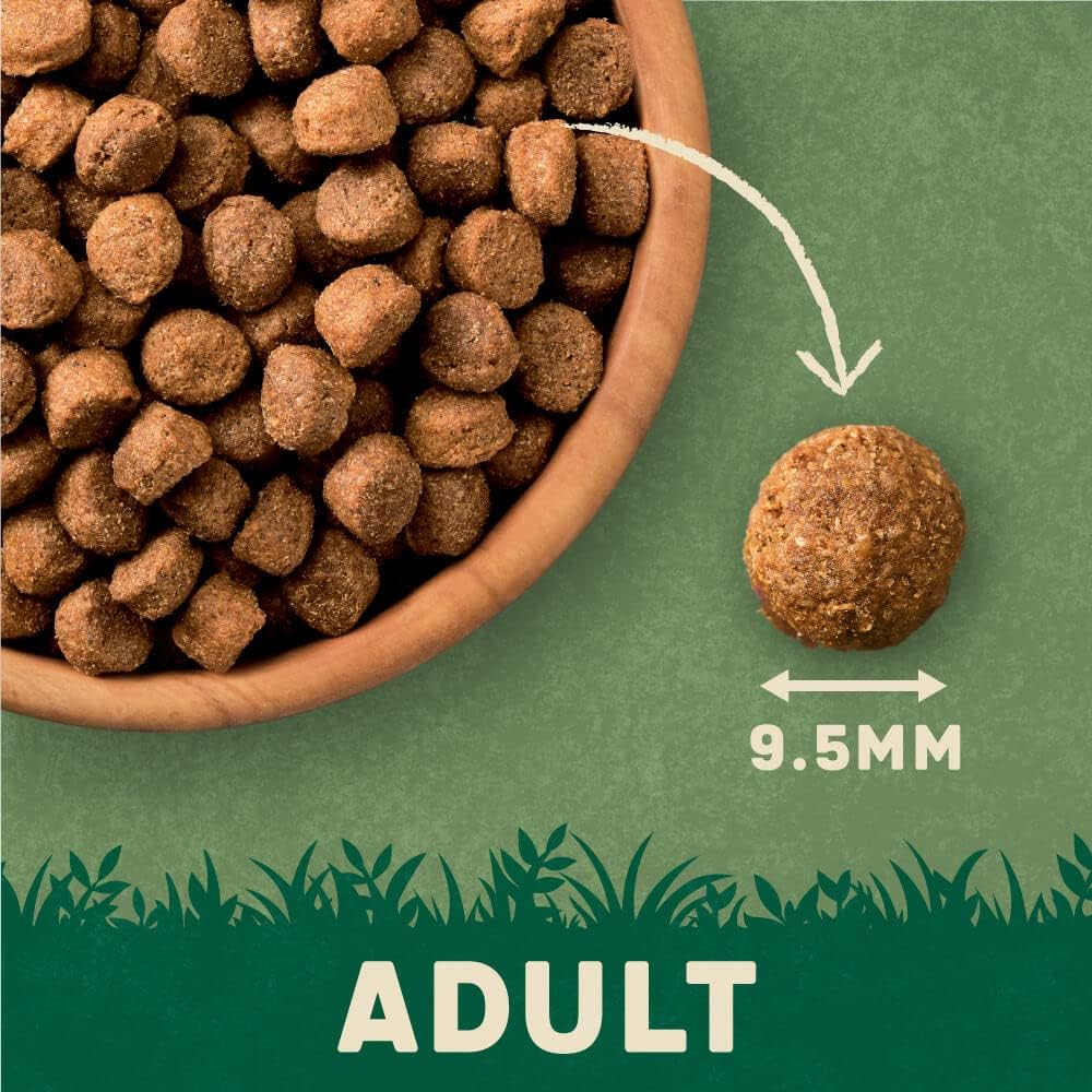 Harringtons Complete Dry Adult Dog Food Salmon and Potato 1.7kg (Pack of 4) - Made with All Natural Ingredients :Pet Supplies