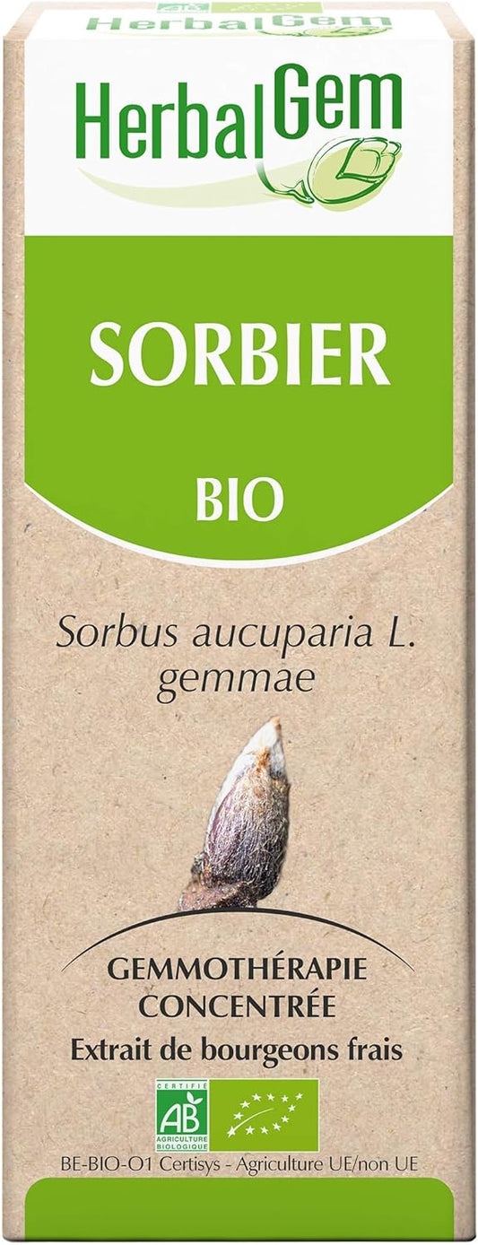 Herbalgem - Mother Macerate - Organic Rowan - Nutritional Supplement Gemmotherapy Concentrated - Fresh Bud Extract - For Body Tone, Immune Defenses, Stress - Vegan - 30 Ml
