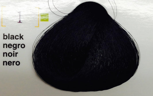 Salerm Vison Permanent Cream Haircolor (1 Black) : Beauty & Personal Care