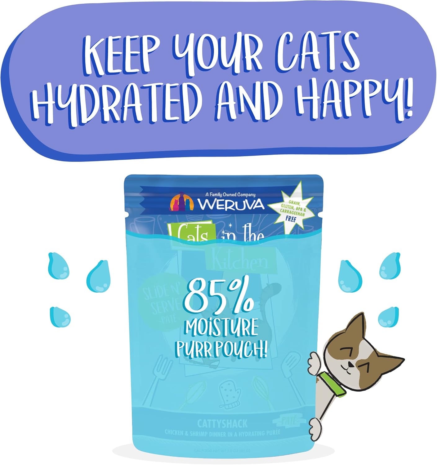 Weruva Cats in The Kitchen Slide N' Serve Grain-Free Natural Wet Pate Cat Food Pouches, Cattyshack, 3oz Pouch (Pack of 12) : Pet Supplies