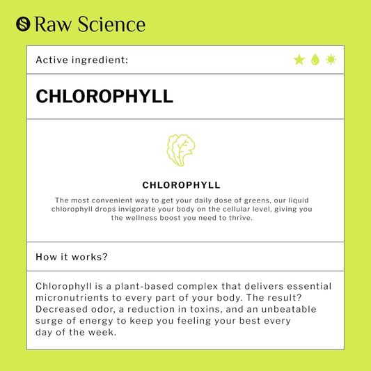 Chlorophyll Liquid Drops - Organic Chlorophyll - Natural Energy Boost – Made In Usa – Fast Absorbing Liquid Chlorophyll – Boost Oxygen & Internal Deodorant – Non Gmo Vegan – Detox Liquid Oxygen Drops