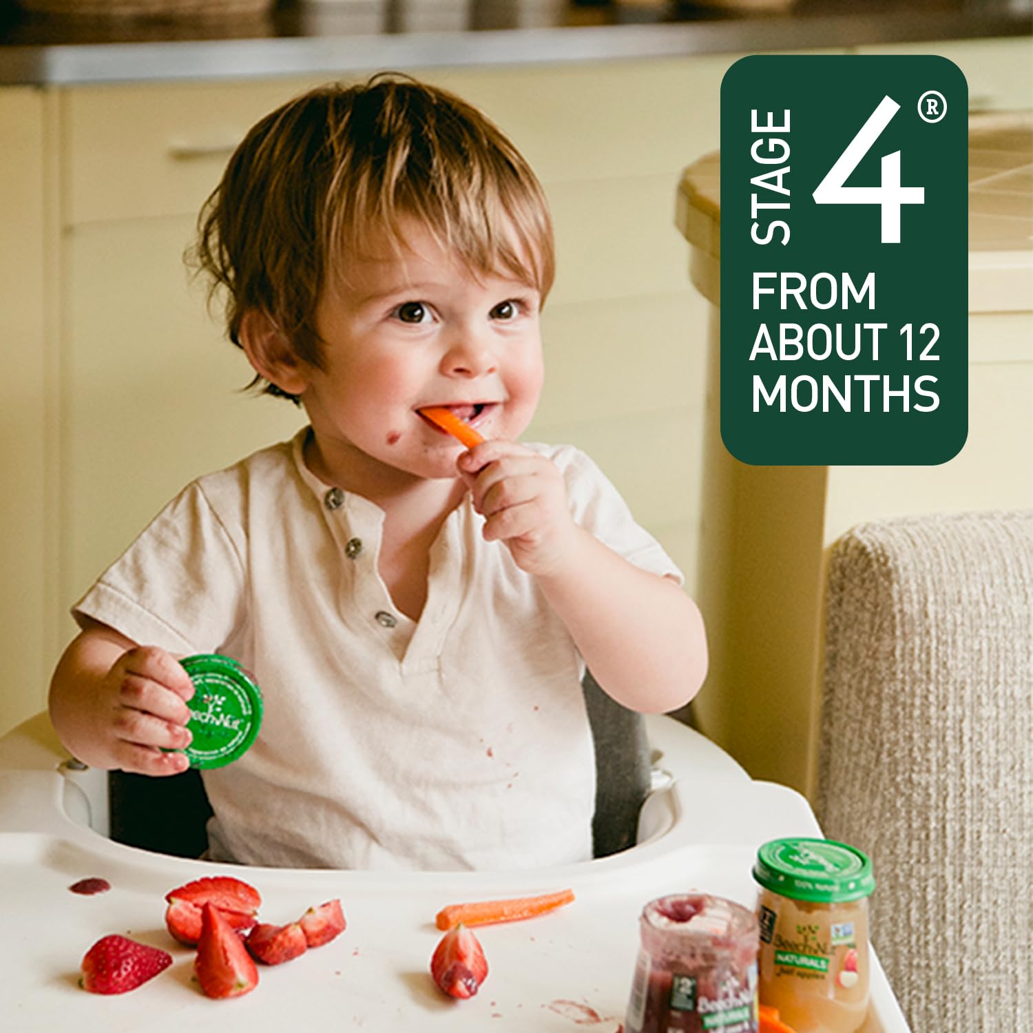 Beech-Nut Baby & Toddler Food Pouches with Iron & Zinc, Apple Blueberry & Spinach Puree, 3.5 oz (12 Pack) : Everything Else