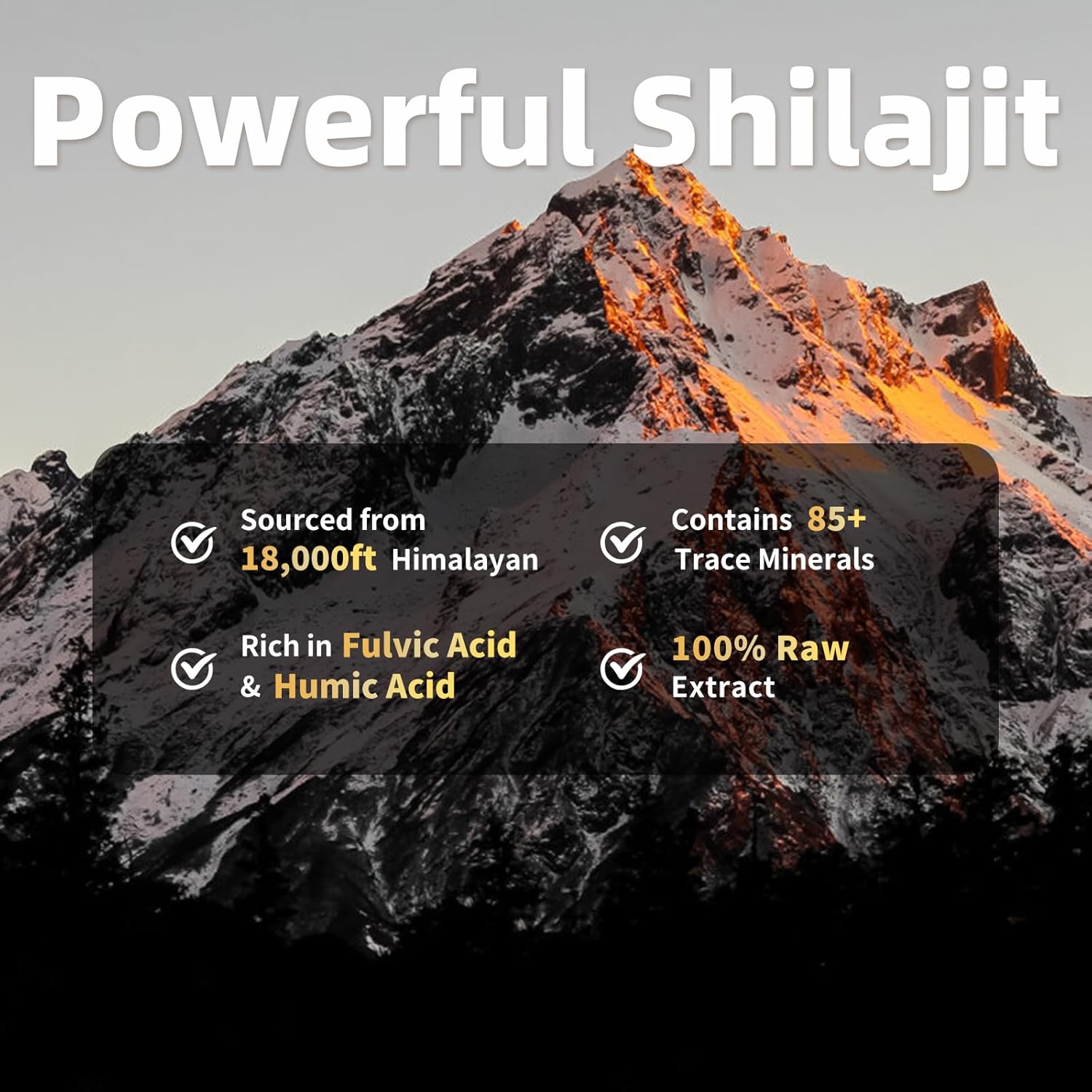 Shilajit Capsules For Men & Women, With Sea Moss & Ashwagandha, 12 In 1 Himalayan Shilajit Supplements With Coenzyme Q10, Fulvic Acid & Humic Acid, Lion'S Mane, Energy & Immune Support , 120 Count