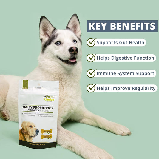 Probiotics for Dogs with Prebiotics - Daily Chews for Digestion, Regularity, Diarrhea Relief, Plus Supports Immune System and Health - Natural Supplement and Treat Made in USA