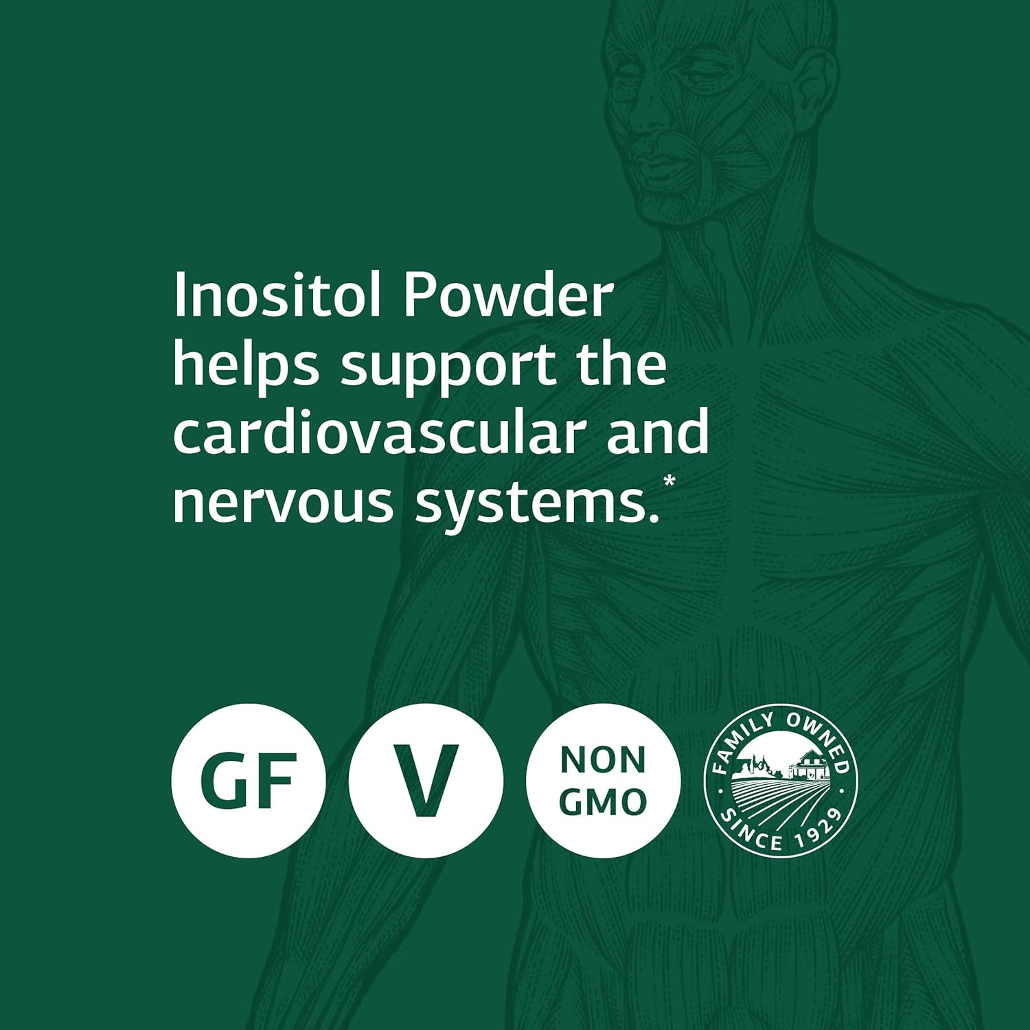 Standard Process Inositol Powder - Whole Food Nervous System Supplements, Heart Health and Liver Support with Inositol Powder - Vegetarian, Gluten Free - 10 Ounce Powder : Health & Household