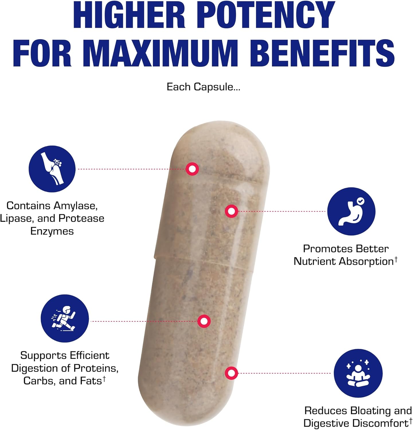 Plant Based Multi Digestive Enzymes Supplement - Clinically Formulated Digestion Supplement With Soothing Herbs And Enzymes For Women And Men For Protein Carb & Fat Digestive Complete (90Ct) : Health & Household