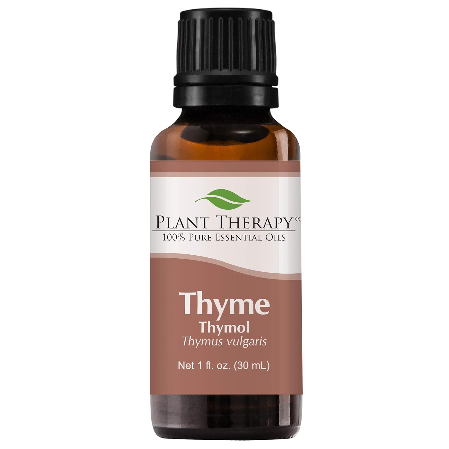 Plant Therapy Thyme Thymol Essential Oil 100% Pure, Undiluted, Natural Aromatherapy, Therapeutic Grade 30 Milliliter (1 Ounce)