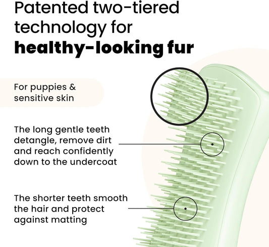 Tangle Teezer Pet Teezer Puppy Grooming Brush - Gentle Dog Grooming Brush For Puppies - Ideal For Puppies & Dogs With Sensitive Skin & Fur - Mint