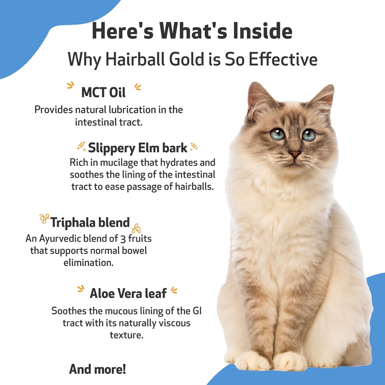 Pet Wellbeing Hairball Gold for Cats - Vet-Formulated - Eases Passage of Hairballs Through Digestive Tract - No Mineral Oil, All-Natural Lubrication - 2 oz (59 ml) : Pet Supplies