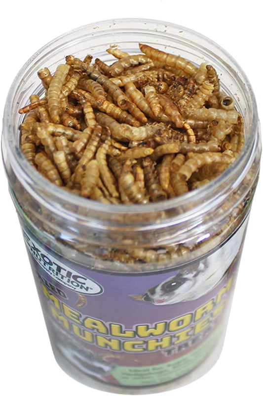 Exotic Nutrition Mealworm Munchies (1.9 Oz.) - All Natural Healthy High Protein Insect Treat - Chickens, Birds, Hedgehogs, Bluebirds, Reptiles, Sugar Gliders, Opossums, Skunks, Lizards, Fish, Turtles