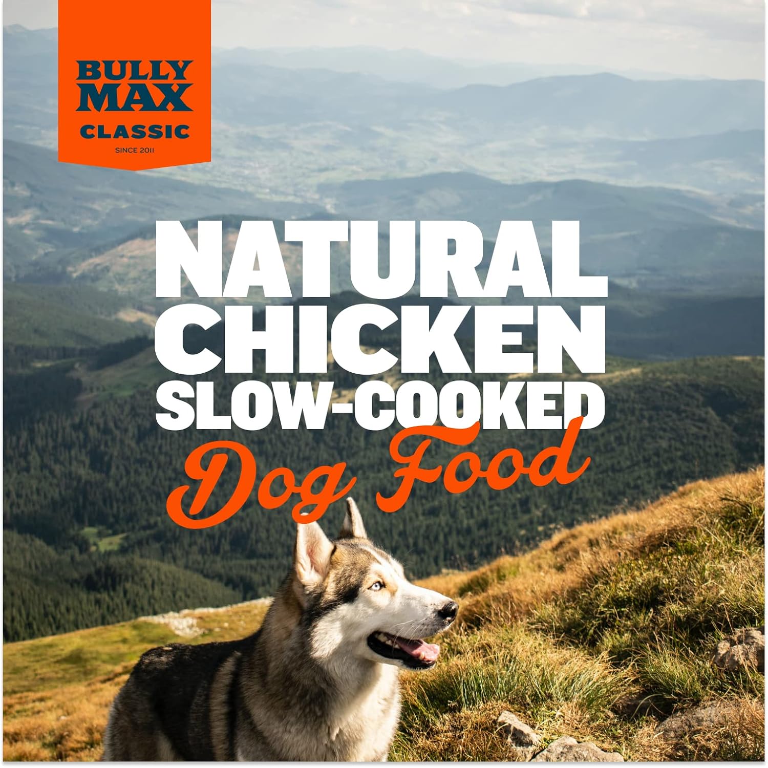 Bully Max Classic Fresh Catch Dry Dog Food - Slow-Cooked, Natural Chicken, Rice & Fish Recipe - Nutrient-Rich Large Kibble Wholesome Puppy & Dog Food - 12 lbs : Pet Supplies