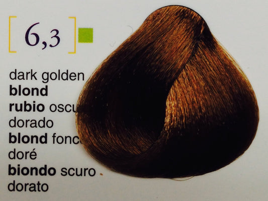 Salermvison Hair Coloring Cream #6.3 Dark Golden Blonde, 2.3 Ounce : Chemical Hair Dyes : Beauty & Personal Care