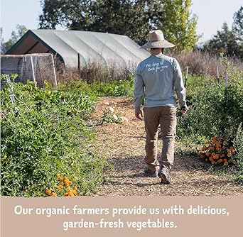 One 15.4 Oz Amy'S Organic Refried Vegetarian Black Beans : Grocery & Gourmet Food