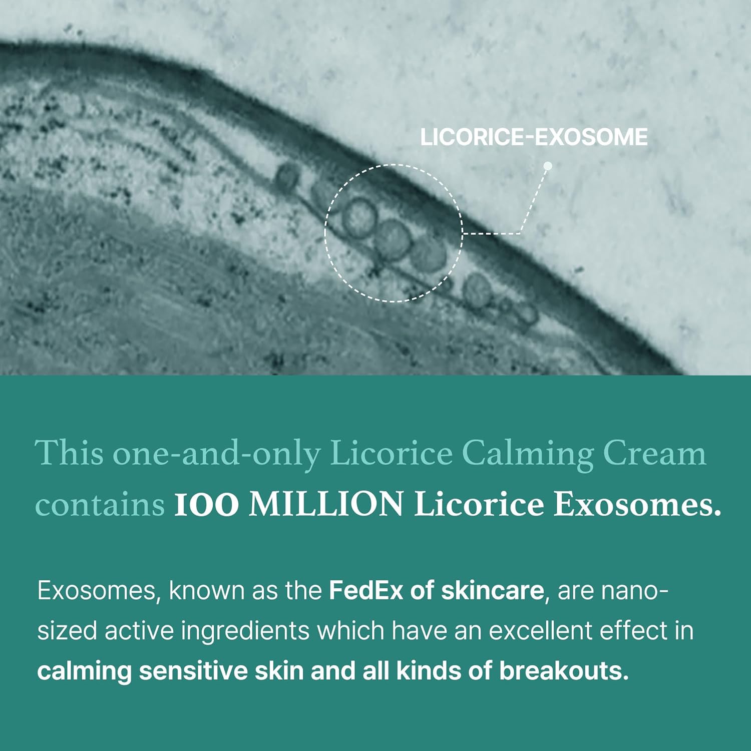 I'M From Licorice Calming Cream 1.59 Fl Oz : Beauty & Personal Care