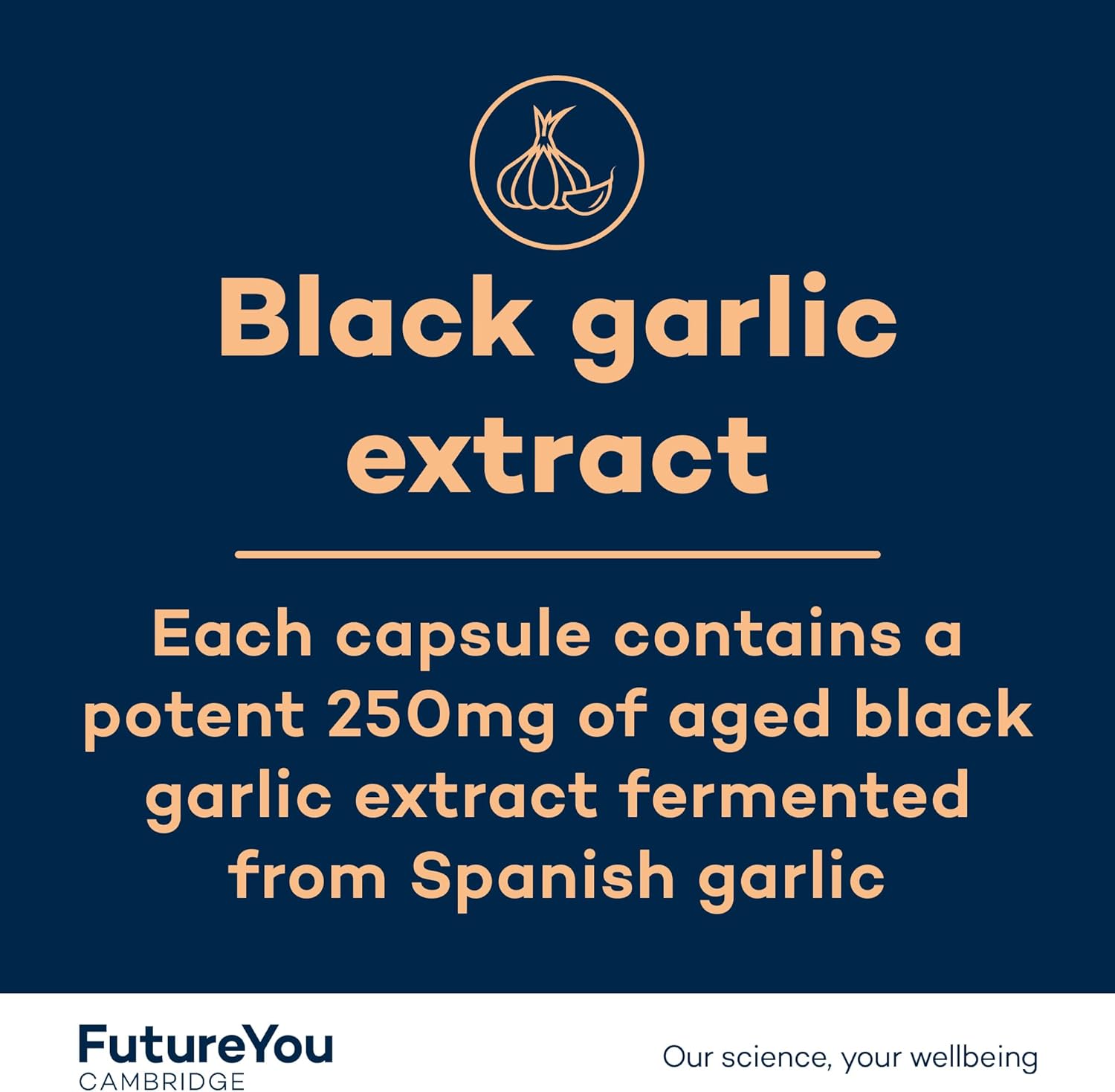 FutureYou Black Garlic+ (28 Odourless Capsules). Heart Health Supplements. Garlic Capsules Odourless High Strength for Healthy Cholesterol - Genuine FutureYou Cambridge Supplements : Amazon.co.uk: Health & Personal Care