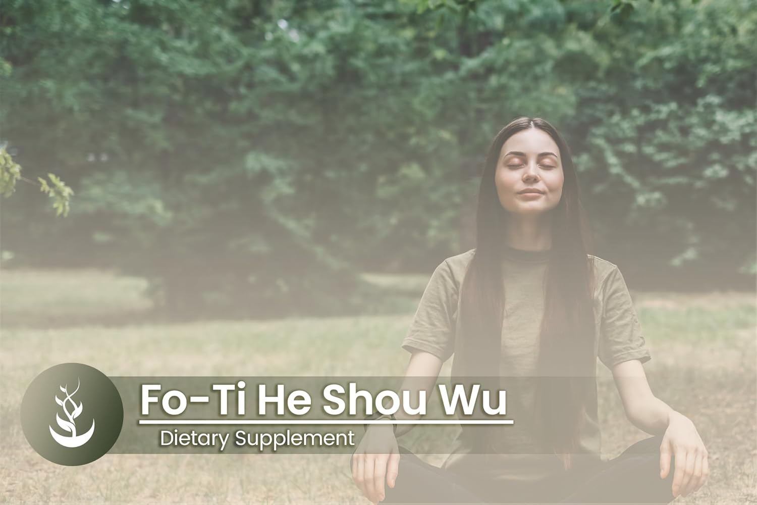 Pure Original Ingredients Fo-Ti (He Shou Wu), (100 Capsules) Always Pure, No Additives Or Fillers, Lab Verified : Health & Household