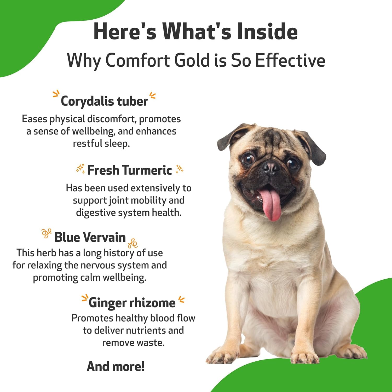 Pet Wellbeing Comfort Gold for Dogs - Natural Pain Relief for Canines - 2 oz (59ml) : Pet Supplies
