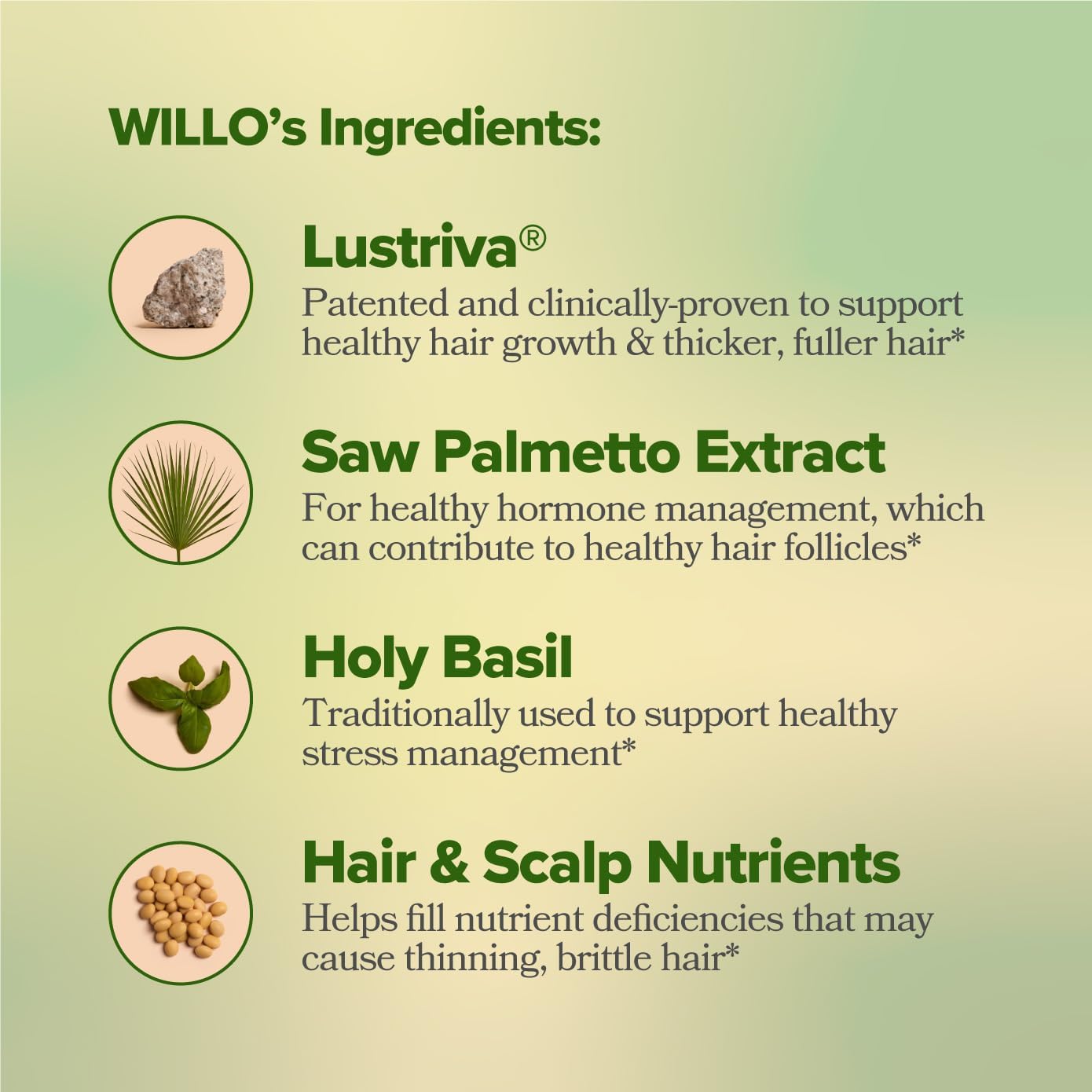 O Positiv Willo Hair Growth Support for Women - Supports Thicker Fuller Hair - Hair Vitamins for Hair Loss & Thinning Hair - Clinically-Studied Lustriva®, Saw Palmetto, Holy Basil - 30 Servings : Beauty & Personal Care