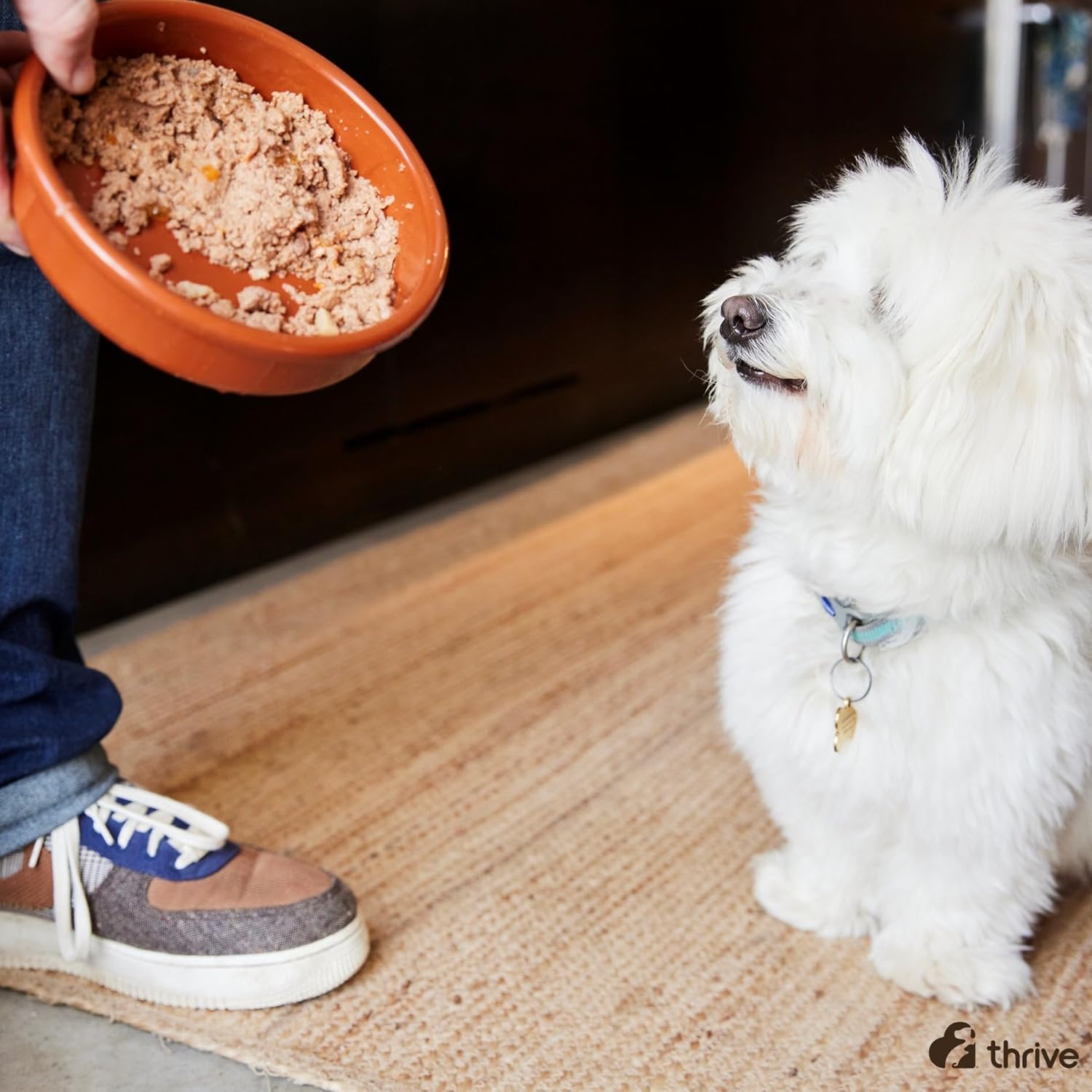 Thrive dog food - Chicken (pack of 6),400 g (Pack of 6) : Amazon.co.uk: Pet Supplies