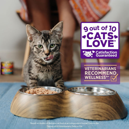 Wellness Core Grain-Free Signature Selects Wet Cat Food, Natural Pet Food Made With Real Meat (Shredded Chicken & Turkey, 2.8 Ounces, Pack Of 12)