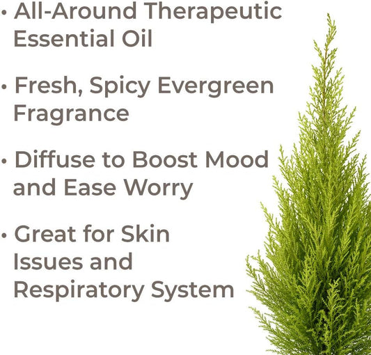 Plant Therapy Organic Cypress Essential Oil 30 Ml (1 Oz) 100% Pure, Undiluted, Therapeutic Grade