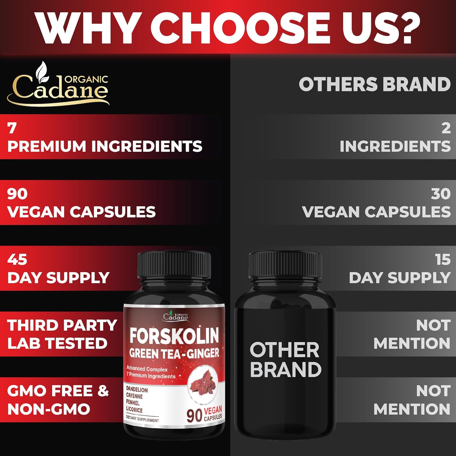 Organic Cadane Forskolin Supplement With Green Tea, Ginger, Dandelion, Cayenne, Fennel, And Licorice| Body Management & Energy Support | Vegan, Non-Gmo – 90 Capsules – 45-Day Supply : Health & Household