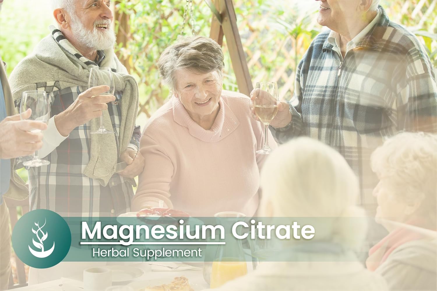 Pure Original Ingredients Magnesium Citrate, (100 Capsules) Always Pure, No Additives or Fillers, Lab Verified : Health & Household
