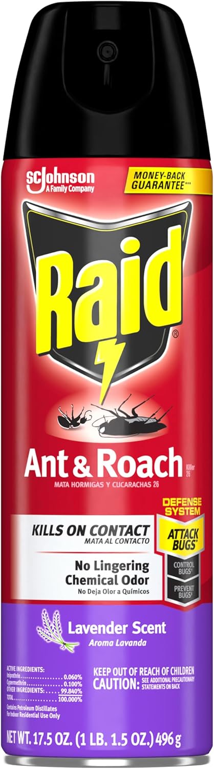 Raid Ant & Roach Killer Spray For Listed Bugs, Keeps Killing For Weeks, Lavender Scent, 17.5 Oz