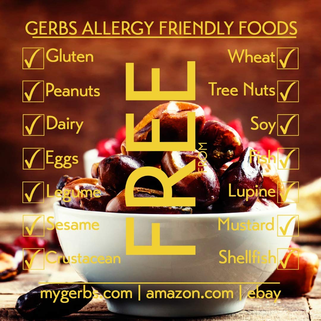 GERBS Dried Araya Dates 2 LBS. Pitted | Freshly Dehydrated Resealable Bulk Bag | Top Food Allergy Free | Sulfur Dioxide Free | High Fiber, Natural Sweetener & Antioxidant rich | Gluten & Peanut Free : Grocery & Gourmet Food