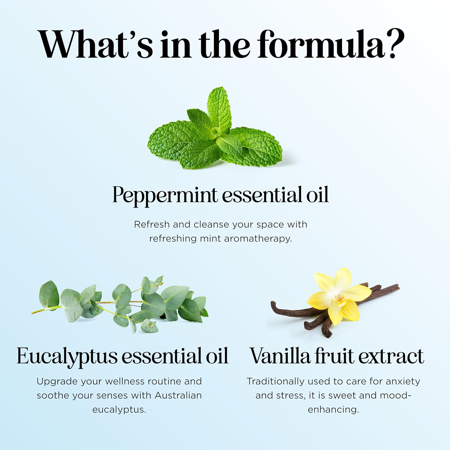 Mint Essential Oil Blend for Diffuser - Refreshing Mint Oil Diffuser Essential Oils with Cooling Peppermint Spearmint Bergamot and Eucalyptus Oils - Pure Aromatherapy Oils for Diffuser Mint Blend