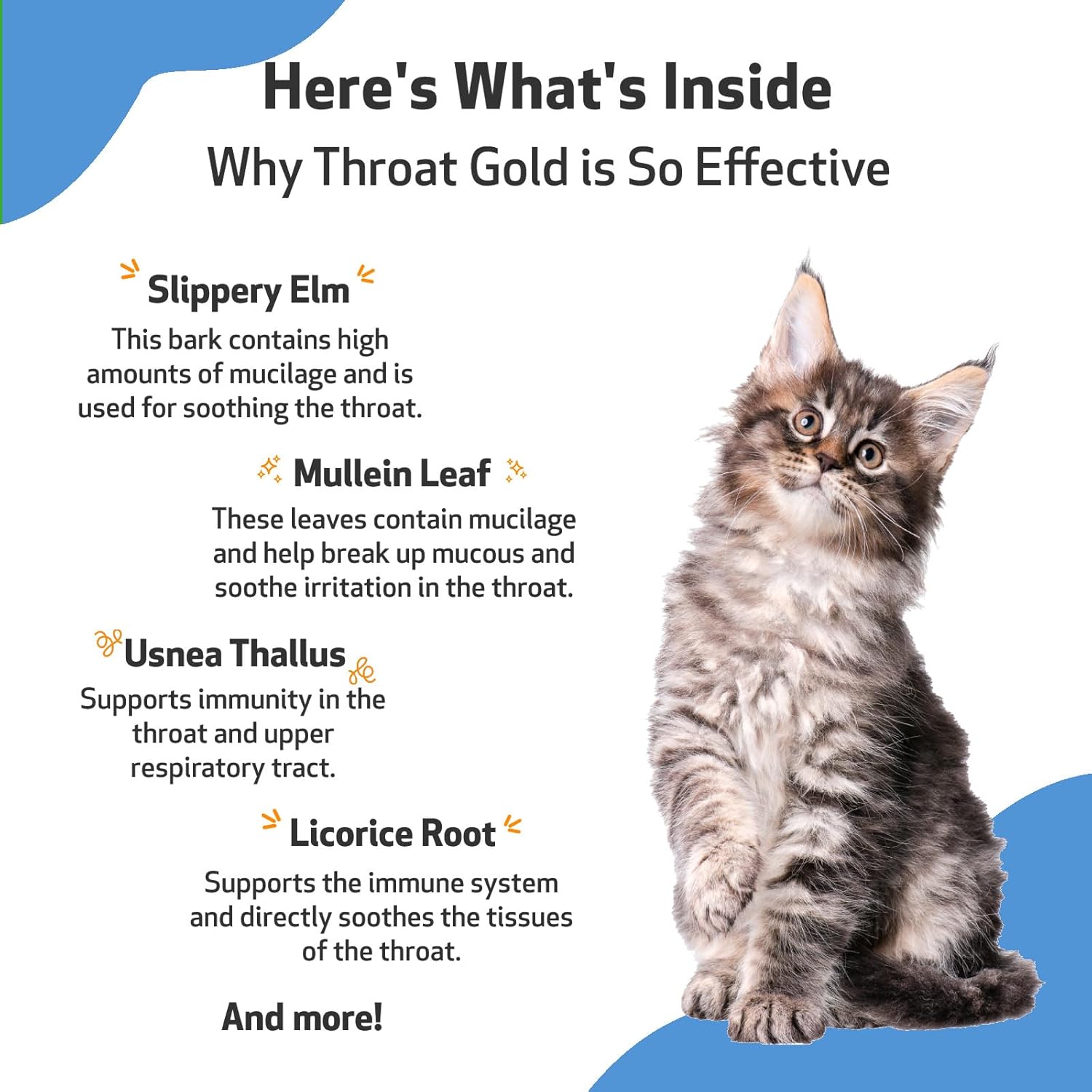 Pet Wellbeing Throat Gold for Cats - Vet-Formulated - Soothes Throat Discomfort and Occasional Cough, Supports Upper Respiratory Tract - Natural Herbal Supplement 2 oz (59 ml) : Pet Supplies
