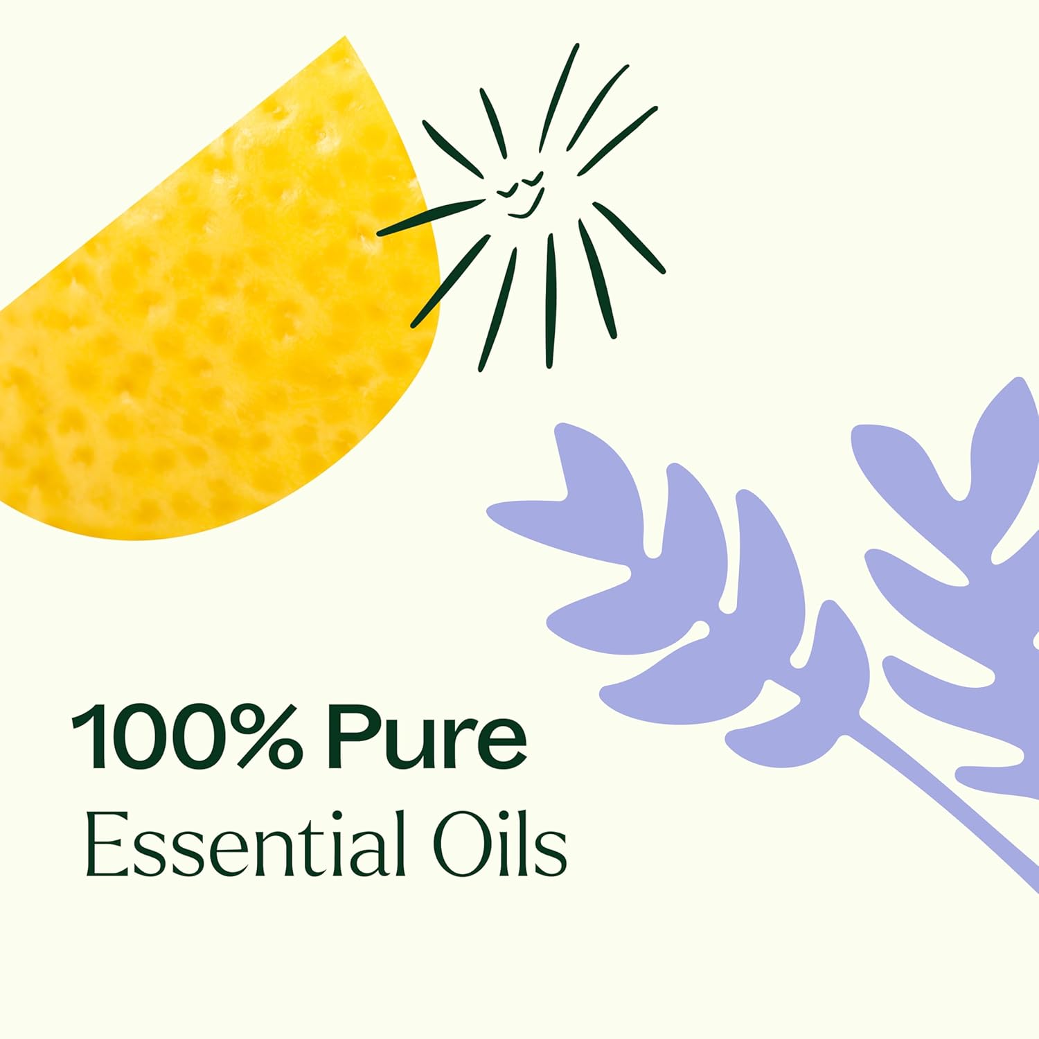 Plant Therapy Top 6 USDA Organic Essential Oil Set - Lavender, Peppermint, Eucalyptus, Lemon, Tea Tree 100% Pure, Natural Aromatherapy, for Diffusion & Topical Use, Therapeutic Grade 10 mL (1/3 oz) : Health & Household