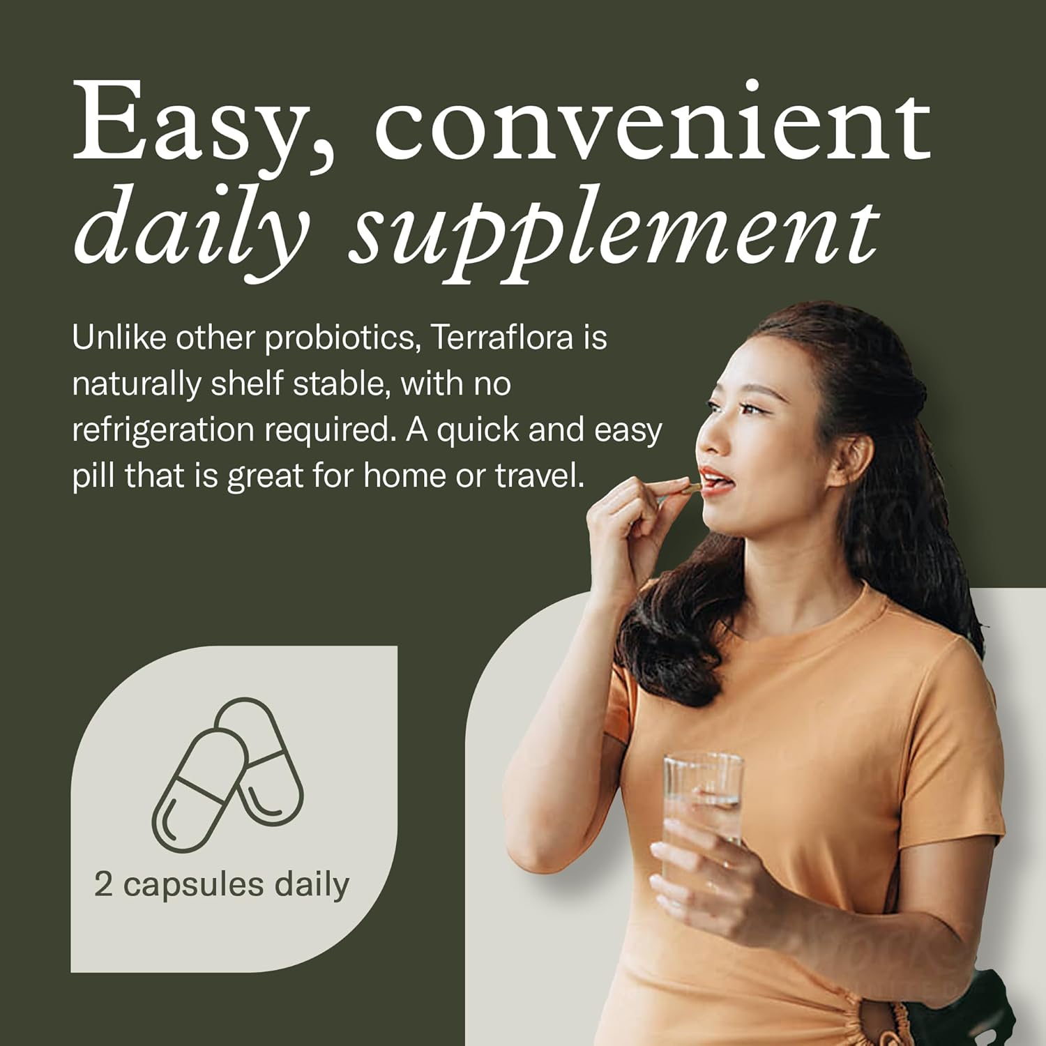 Terraflora Daily Care Synbiotic Of Probiotics And Prebiotics For Women And Men 60 Ct, Soil Based, Shelf Stable, Allergen Friendly Spore Based Supplement Capsules Promote Gut Health By Enviromedica : Health & Household
