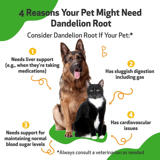 Pet Wellbeing Dandelion Root For Dogs & Cats - Liver, Digestive, Cardiovascular, Blood Sugar Support - Natural Herbal Supplement 4 Oz (118 Ml)