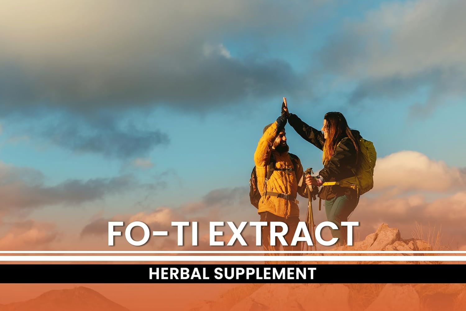 Pure Original Ingredients Fo-Ti (365 Capsules) No Magnesium Or Rice Fillers, Always Pure, Lab Verified : Health & Household