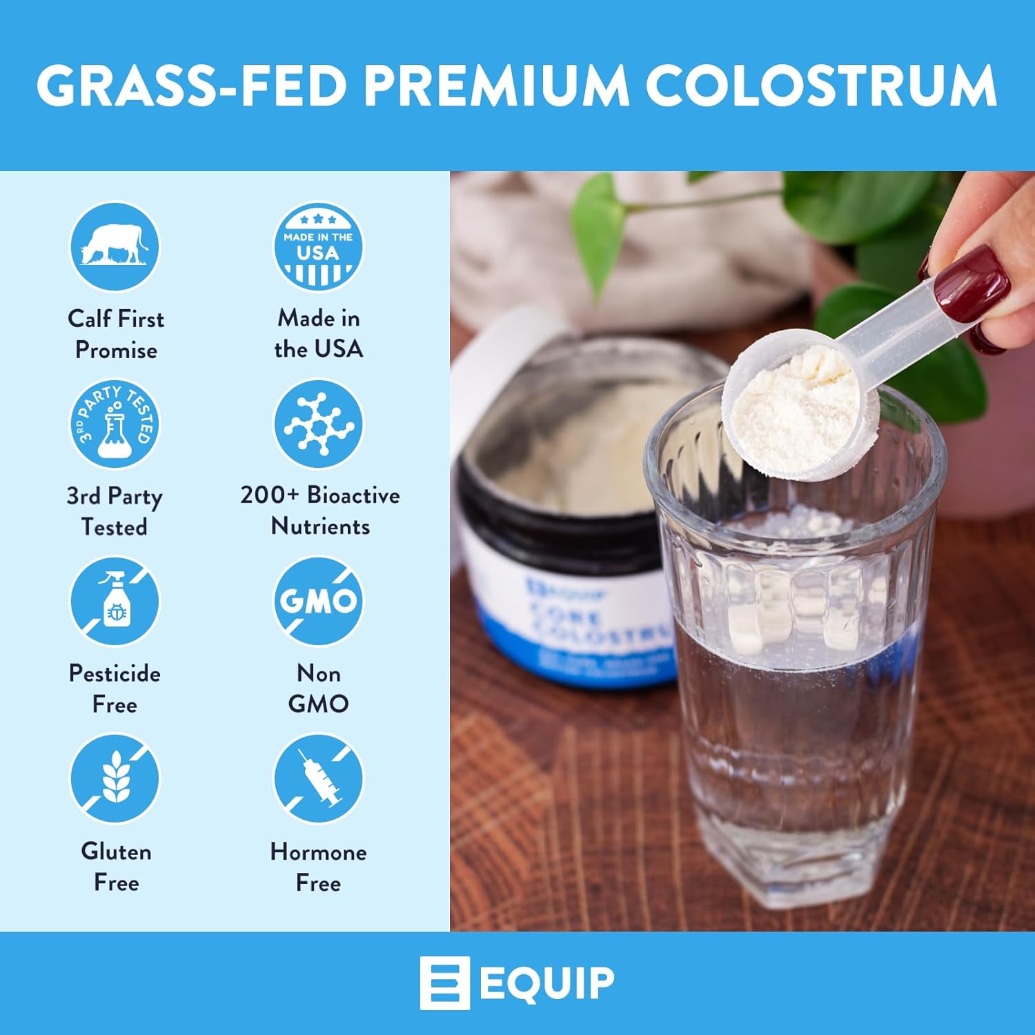 Equip Foods Core Colostrum Powder & Prime Protein Powder Iced Coffee : Health & Household