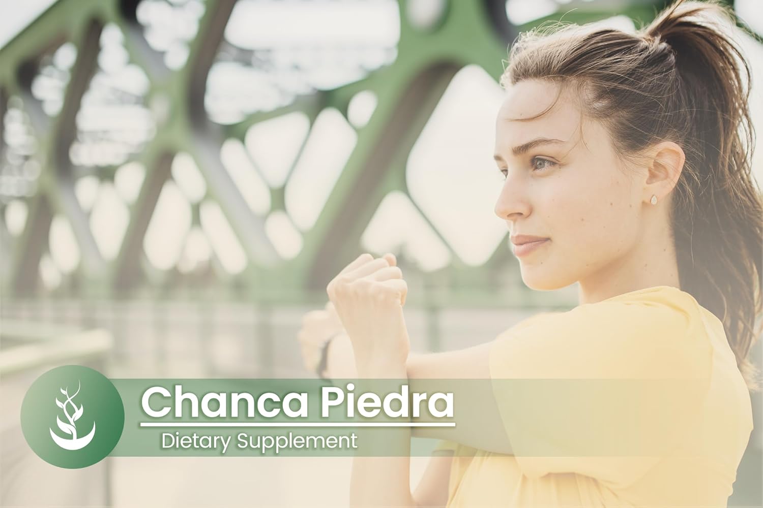 Pure Original Ingredients Chanca Piedra (100 Capsules) Always Pure, No Additives Or Fillers, Lab Verified : Health & Household