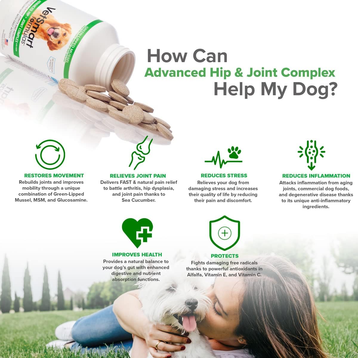 Joint Supplement for Dogs - Green Lipped Mussel, MSM + Glucosamine Formula - Helps to Restore Mobility, Relieve Arthritis & Hip Dysplasia Pain, Reduce Inflammation, No Artificial Flavors (Pack of 1) : Pet Supplies