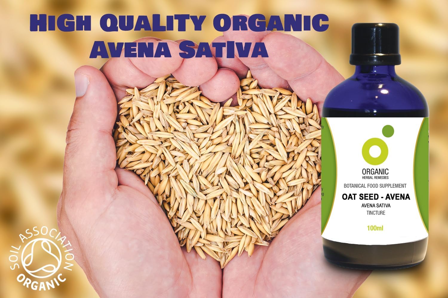 Organic Herbal Remedies 100ml Avena Sativa Oat Seed Tincture : Amazon.co.uk: Health & Personal Care