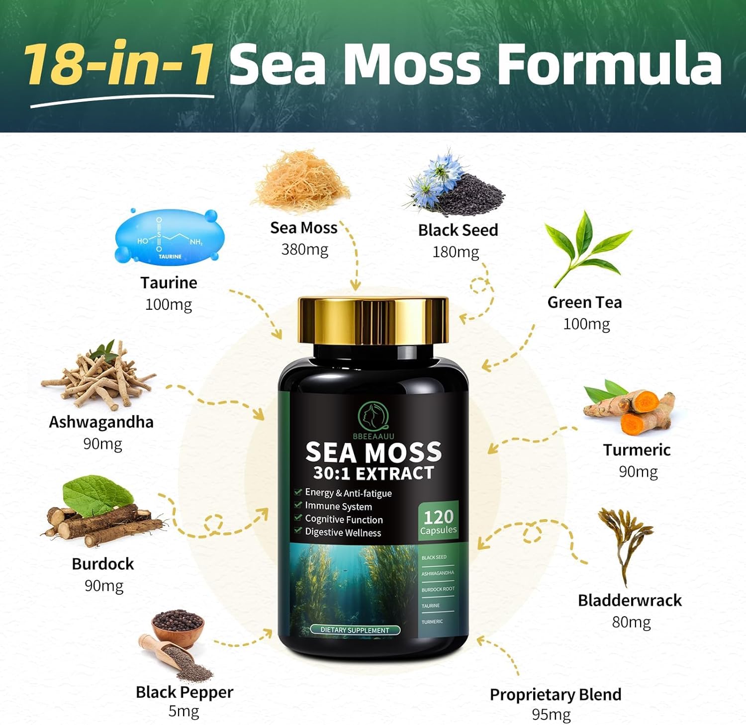 Shilajit For Men, Sea Moss And Shilajit Bundle, All In 1 Supplements With Coenzyme Q10, Black Seed, Ashwagandha, Taurine, Burdock For Energy, Endurance, Antioxidant & Immune Support, 240 Capsules : Health & Household