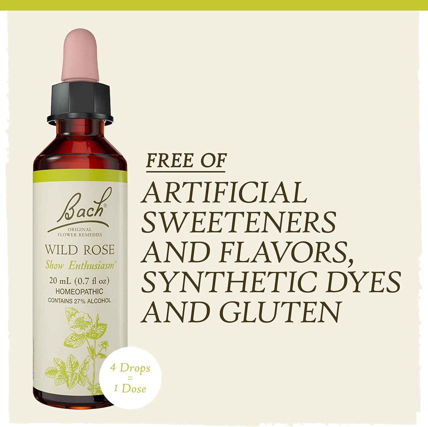 Bach Original Flower Remedies, Wild Rose for Enthusiasm, Natural Homeopathic Flower Essence, Holistic Wellness and Stress Relief, Vegan, 20mL Dropper : Health & Household
