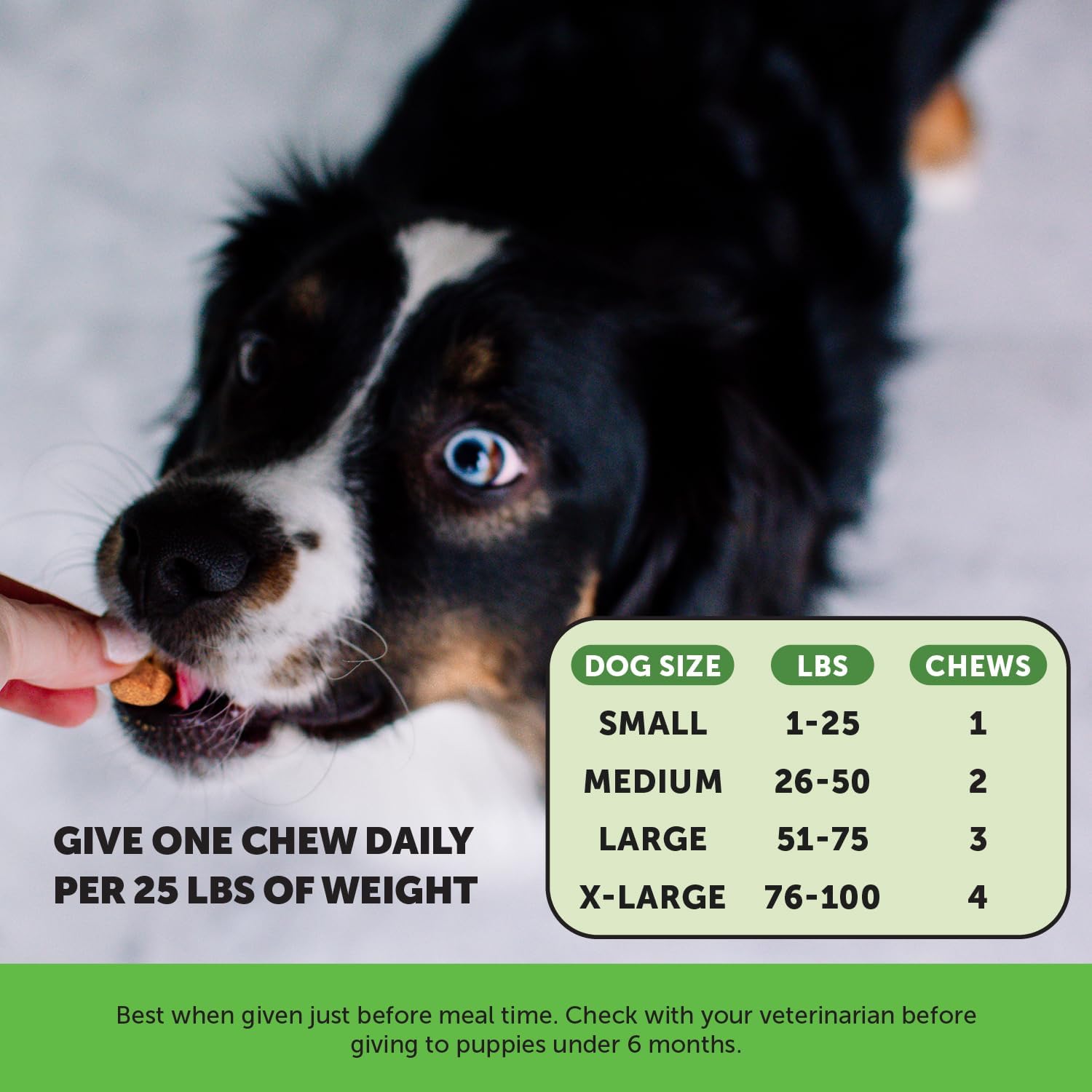 Pet Honesty Grass Green - Pee Grass Spot Saver Caused by Dog Urine, Gut Health Probiotics, Dog Urine Neutralizer for Lawn, Grass Burn Spot Chews, Cranberry, Apple Cider Vinegar, Dog Rock (Turkey 90ct) : Pet Supplies
