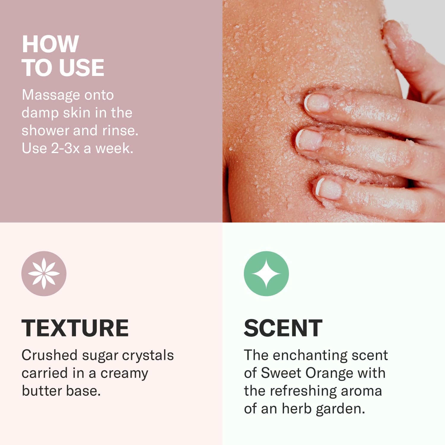 Odacité Jojoba Pearls Daily Hydra-Exfoliant - Hydrating & Firming Formula - Vegan Skincare - Sensitive Skin Friendly - For All Skin Types - 1.69 Oz : Beauty & Personal Care