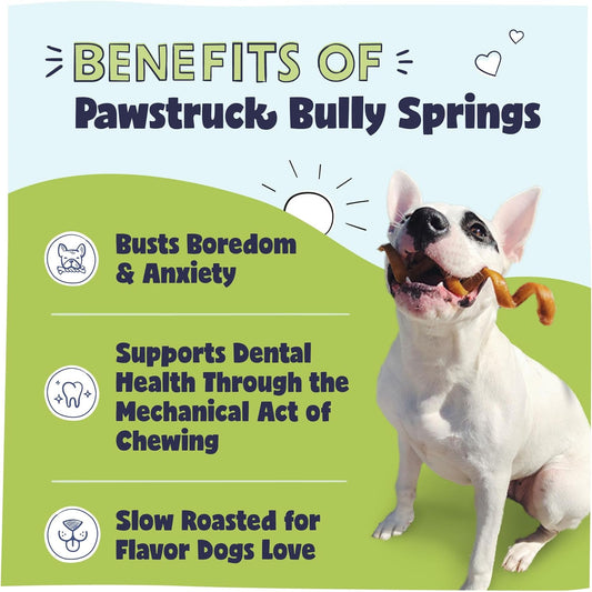 Pawstruck All-Natural 6" Bully Stick Springs for Dogs - Fun Challenging Rawhide Free 100% Beef Single Ingredient Chew Treat Bones - Fully Digestible Low Odor - 3 Pack - Packaging May Vary