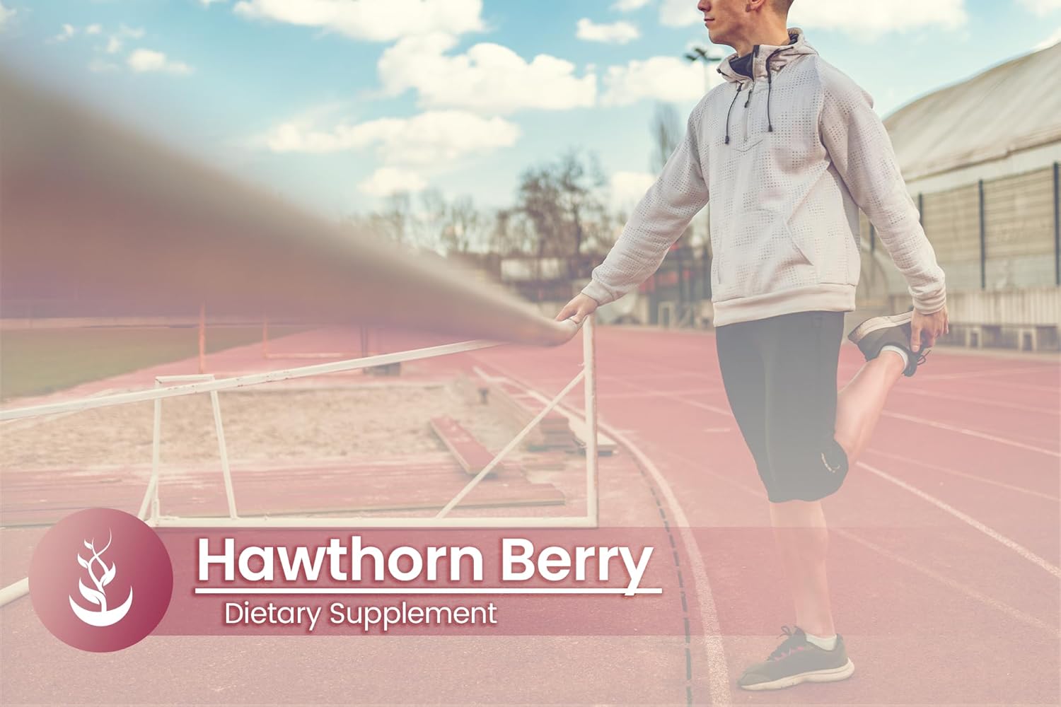 PURE ORIGINAL INGREDIENTS Hawthorn Berry, (100 Capsules) Always Pure, No Additives Or Fillers, Lab Verified : Health & Household