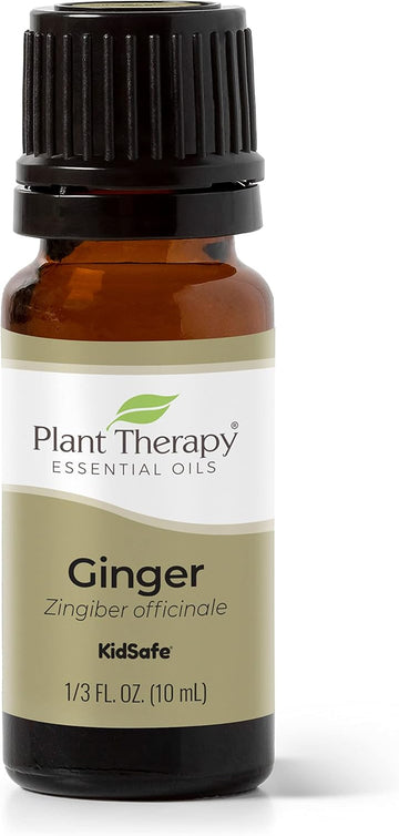 Plant Therapy Ginger Steam Distilled Essential Oil 10 Ml (1/3 Oz) 100% Pure, Undiluted, Natural Aromatherapy