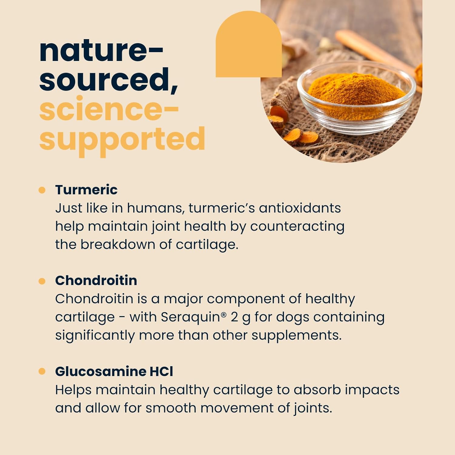 Seraquin Joint | 60 x 2 g chewable tablets | Maintains healthy joints | Supports mobility | Glucosamine, chondroitin and turmeric | For dogs : Amazon.co.uk: Pet Supplies