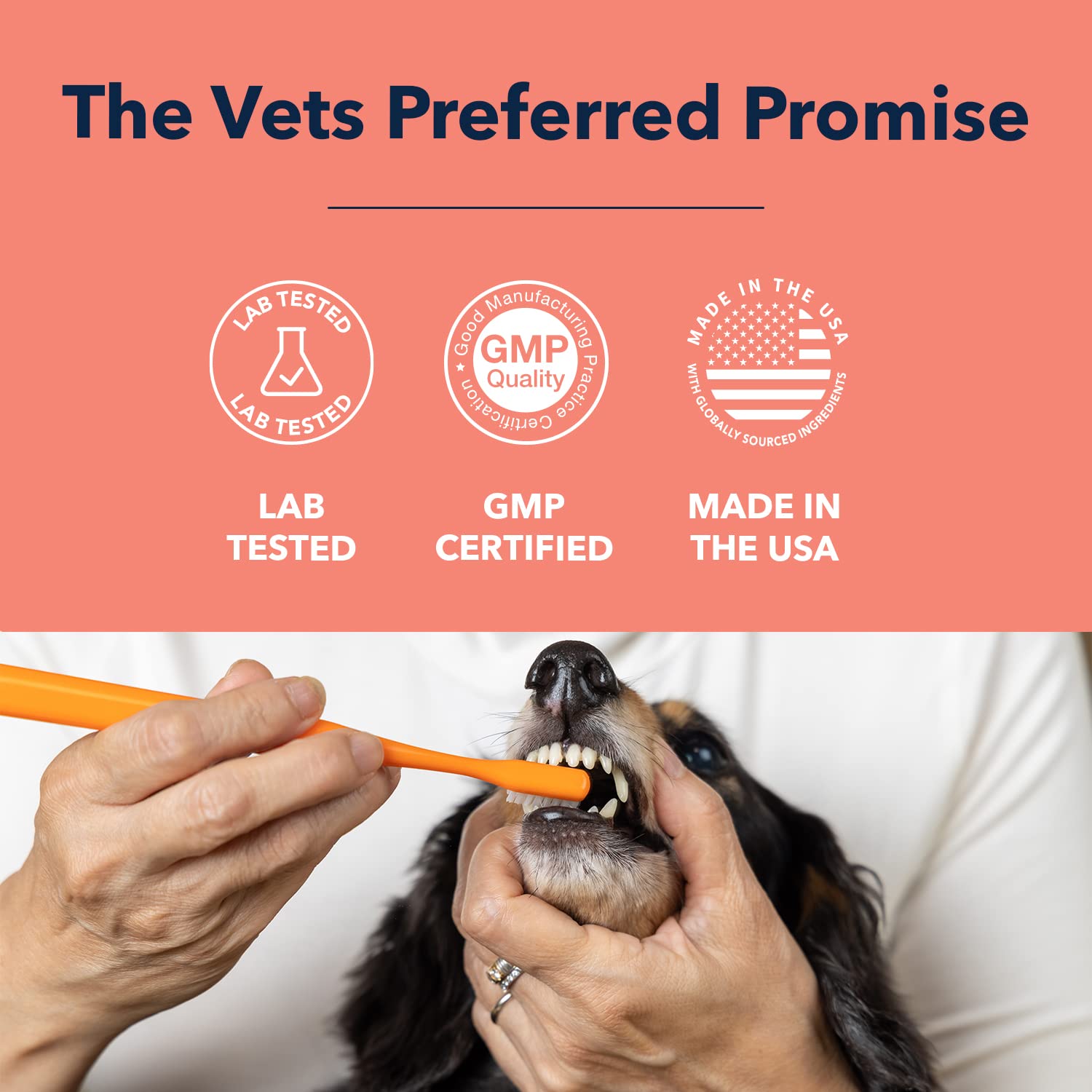 Vets Preferred Dog Enzymatic Toothpaste – Safe and Natural Dog Oral Care Toothpaste – Freshens Breath, Fights Plaque and Reduces Tatar – Tasty Peanut Butter Flavor – 3 Oz : Pet Supplies