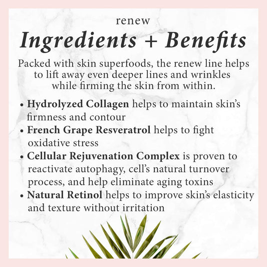 Renew Intense Firming Sleep-In Mask, Facial Skin Care w/ Hydrolyzed Collagen & Resveratrol for Wrinkles, Softer and Firmer Skin, Ceramides to Nourish and Hydrate, 1.7 Ounces, 50 mL